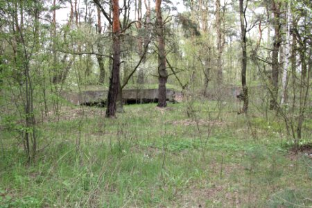 Артиллерийская батарея №6. Панорама