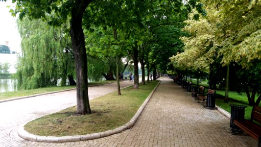 Парк Новодевичьи пруды (июль 2016)
