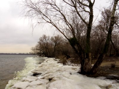 Муромец2