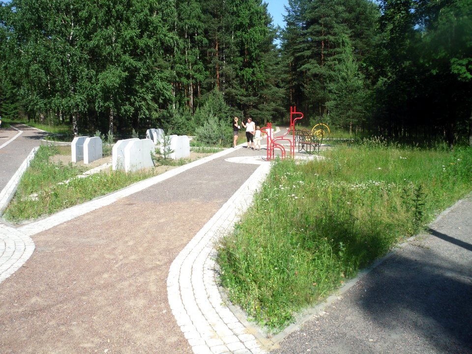 Комарово СПб. Детская площадка