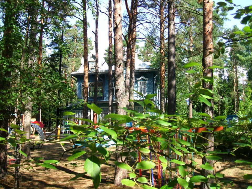 Комарово Б.пр.18. Дача Шостаковича