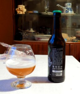 Bierwelle Apple Sour 2