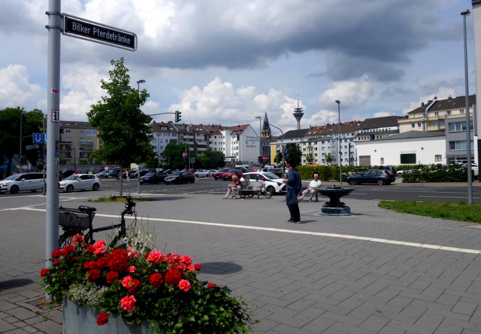 Bilker Pferdetränke, Juni 2020 (1)