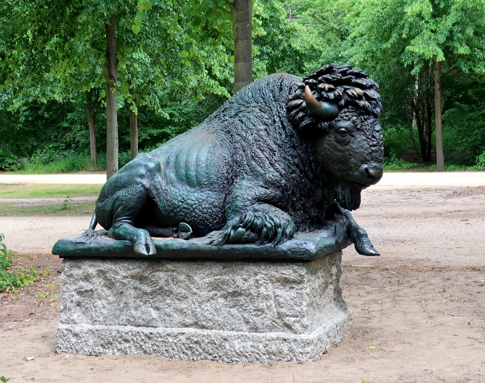 Bison 2 Siemering Berlin