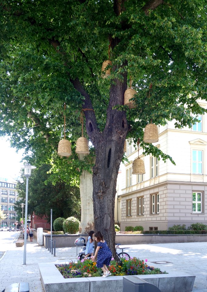 Bienenkörbe auf dem Martin-Luther-Platz, Düsseldorf, Juni 2020