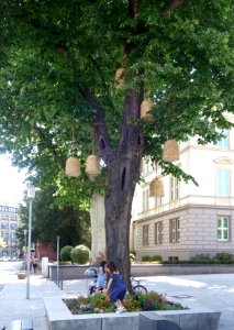 Bienenkörbe auf dem Martin-Luther-Platz, Düsseldorf, Juni 2020