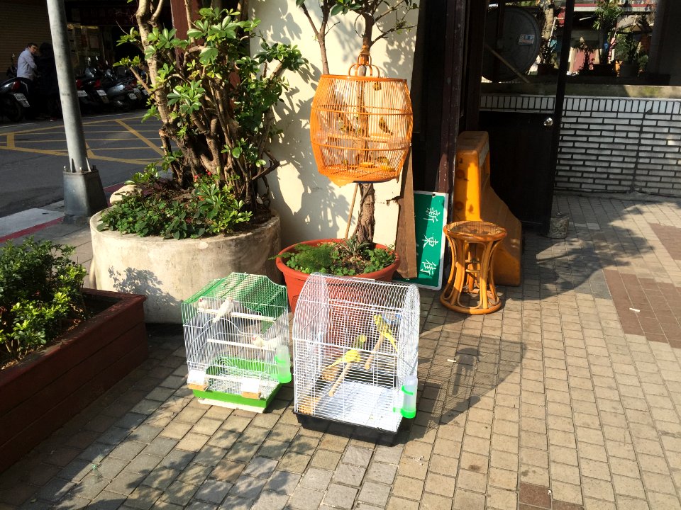 Bird Cages at Lane 110, Sanmin Road Taipei 20160306