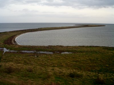 Besser Rev from Hønsepold