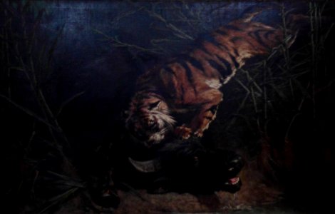 Bluffle surpris par un tigre