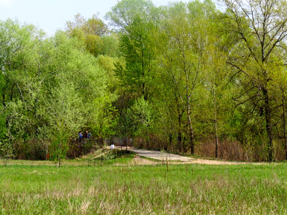 Bobrovnya 1-st bridge
