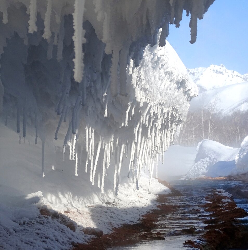 Winter pairs nalychevo valley photo