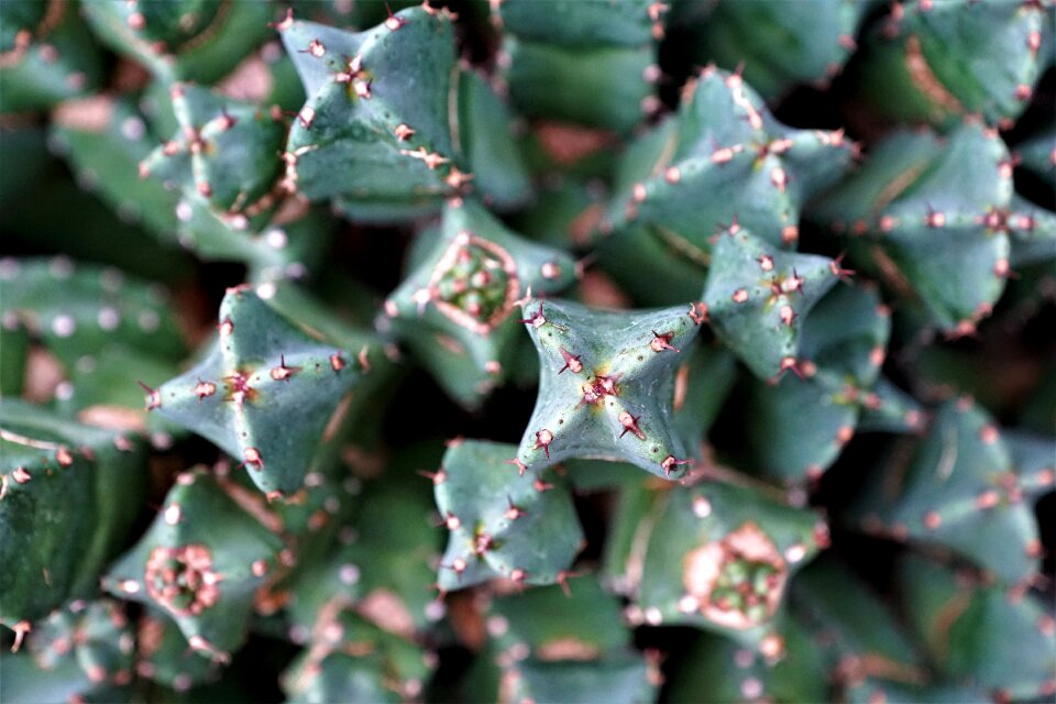 Background color close up