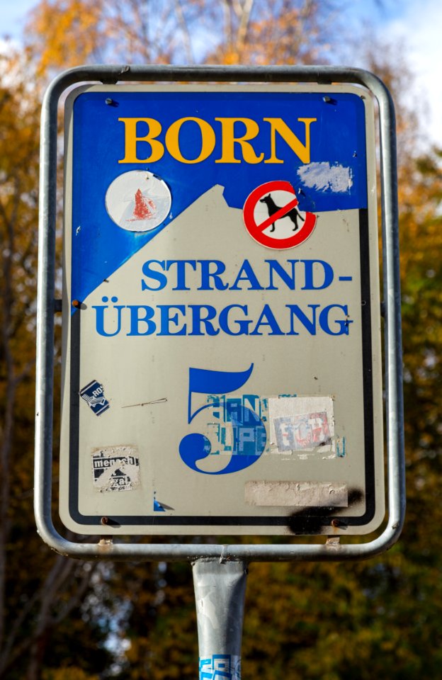 Born a Darss Stranduebergang 5 01