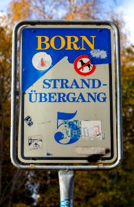 Born a Darss Stranduebergang 5 01