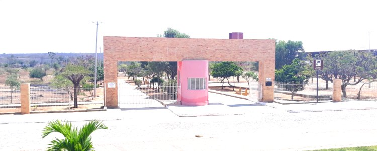 Bosque Municipal de Riacho da Cruz (RN)