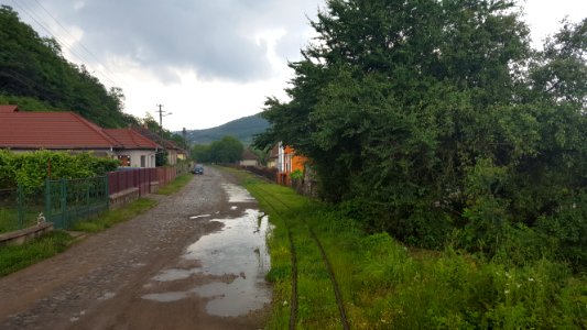 Brad narrow gauge line 3