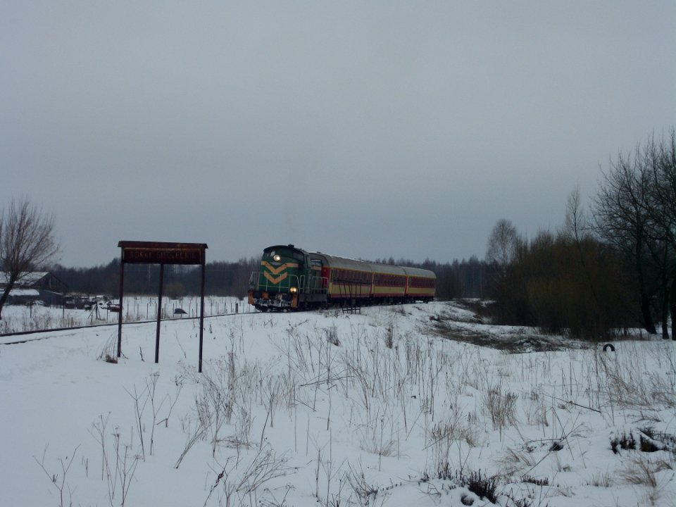 Borki Siedleckie SM42