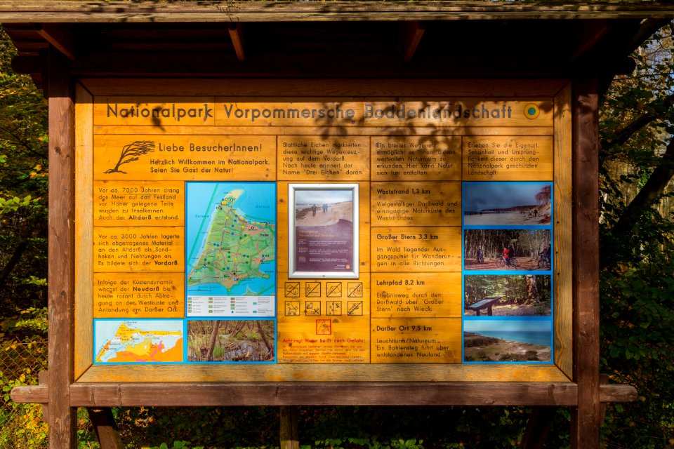 Born a Darss Nationalpark Vorpommersche Boddenlandschaft Darsswald 02