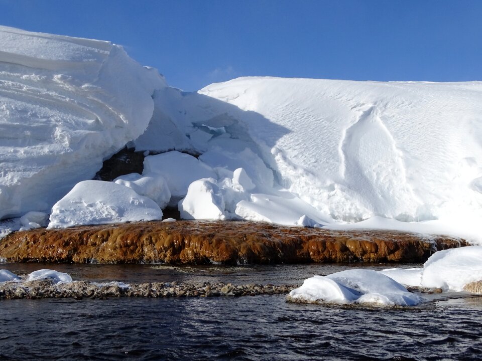 Winter pairs nalychevo valley photo