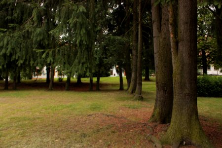 Bouzov Castle234