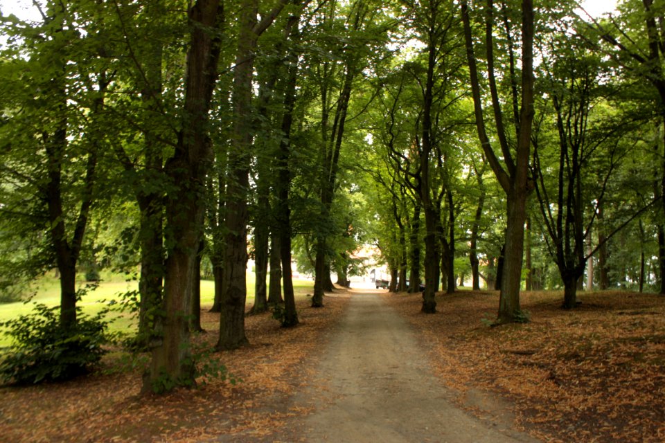 Bouzov Castle 245
