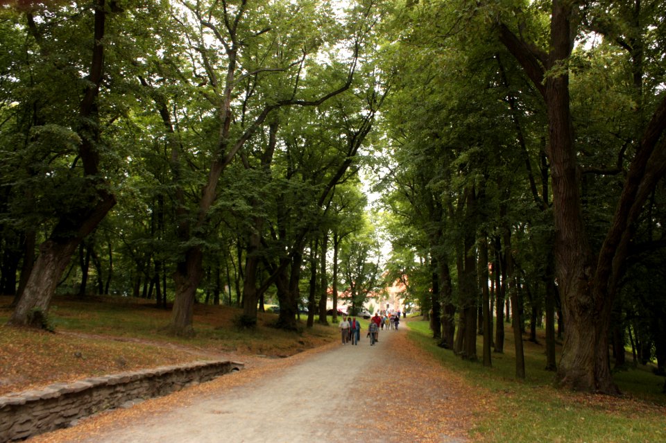 Bouzov Castle 036