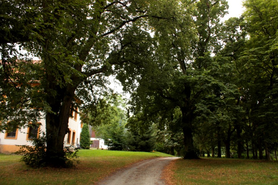 Bouzov Castle 240