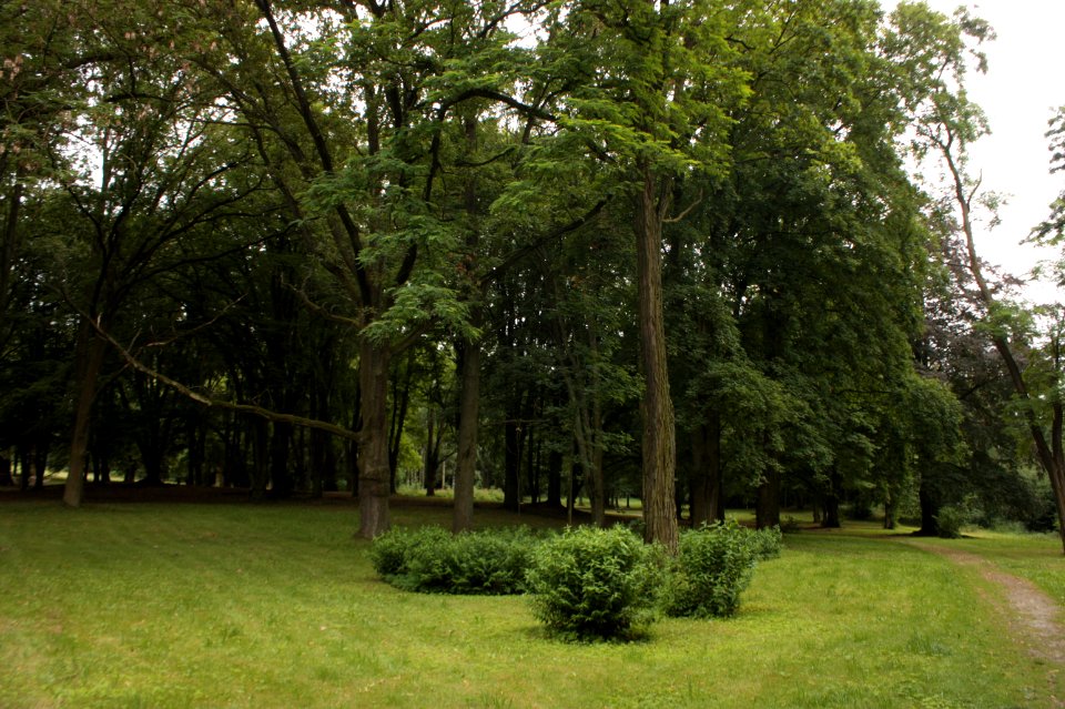 Bouzov Castle 148
