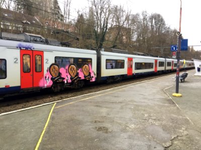 Boondaal - Boondael - SNCB NMBS 2018 - AM08 Desiro photo