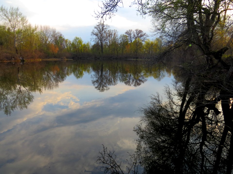Bobrovnya zatoka4