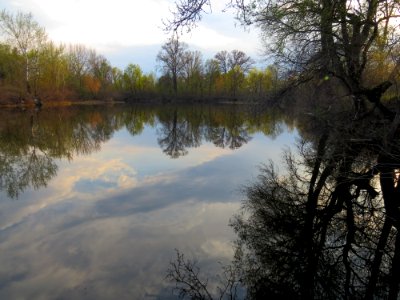 Bobrovnya zatoka4