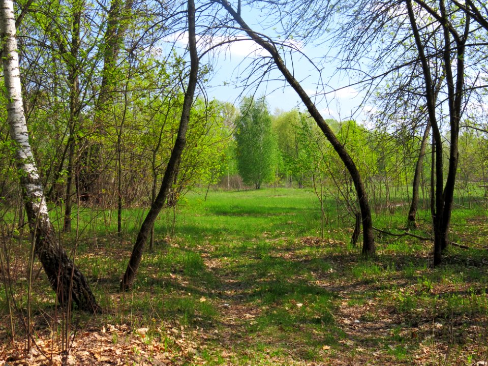 Bobrovnya zakaznyk9