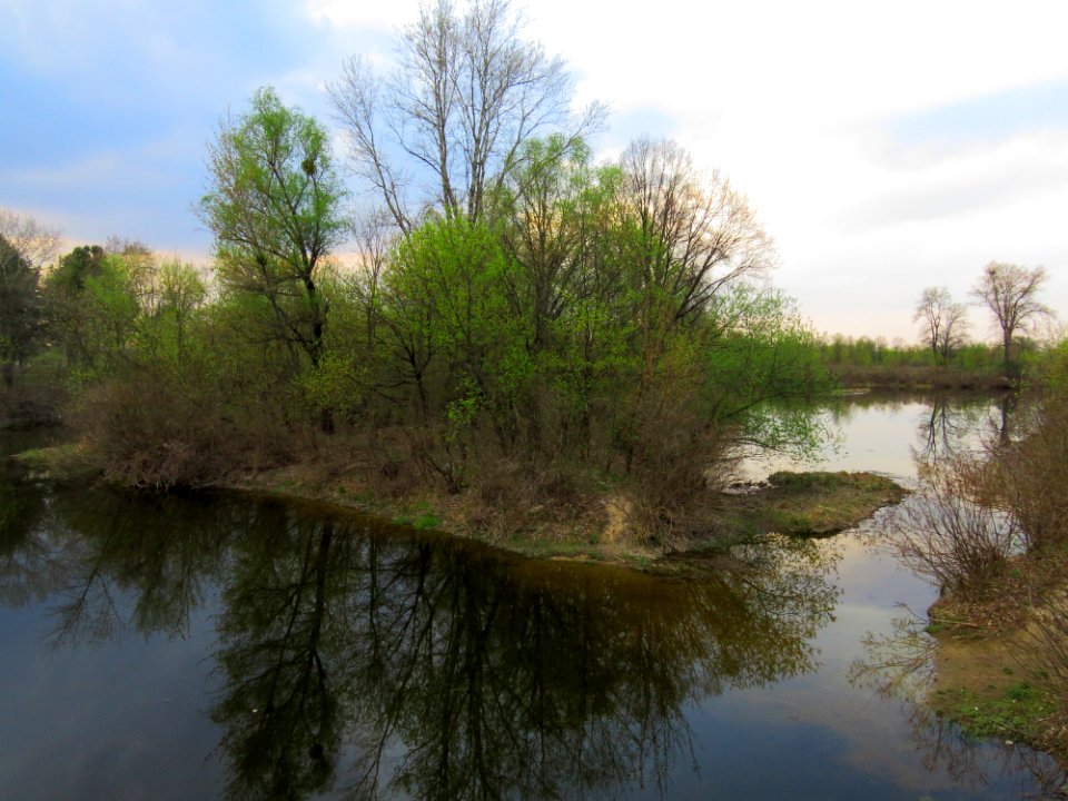 Bobrovnya zatoka7