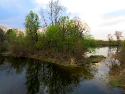 Bobrovnya zatoka7
