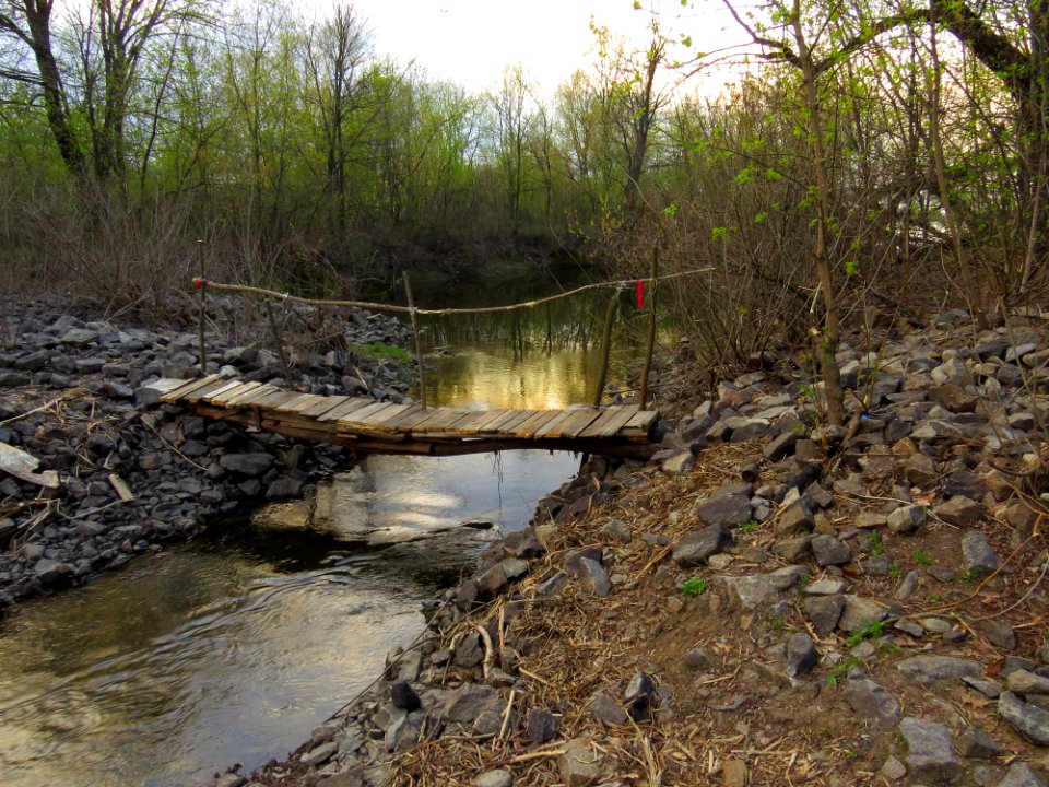 Bobrovnya log bridge1