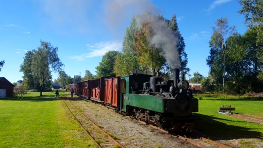 Bor steam train