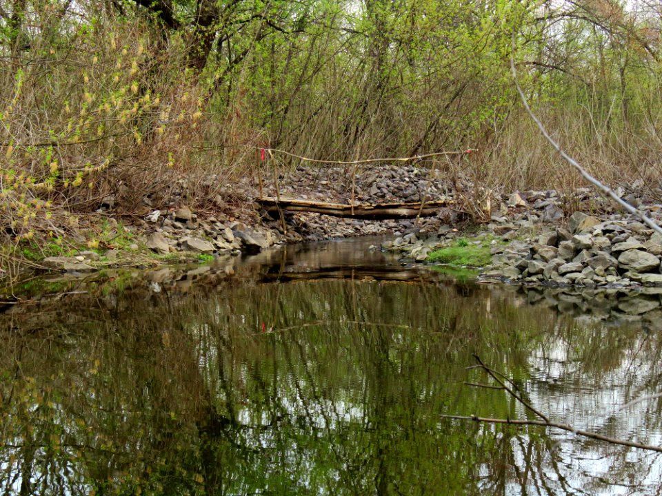 Bobrovnya log bridge2
