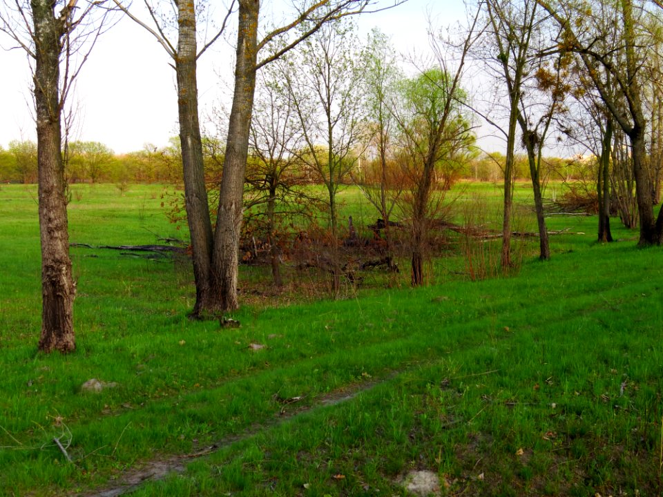 Bobrovnya zakaznyk7