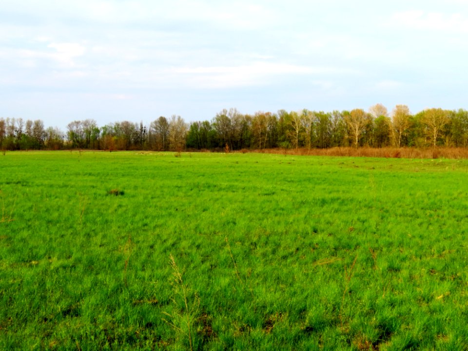 Bobrovnya zakaznyk2