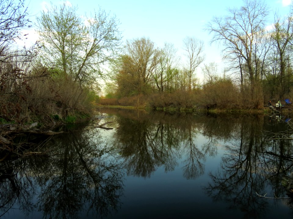 Bobrovnya zatoka5