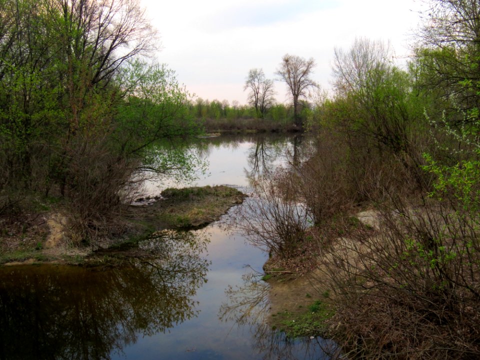 Bobrovnya zatoka8