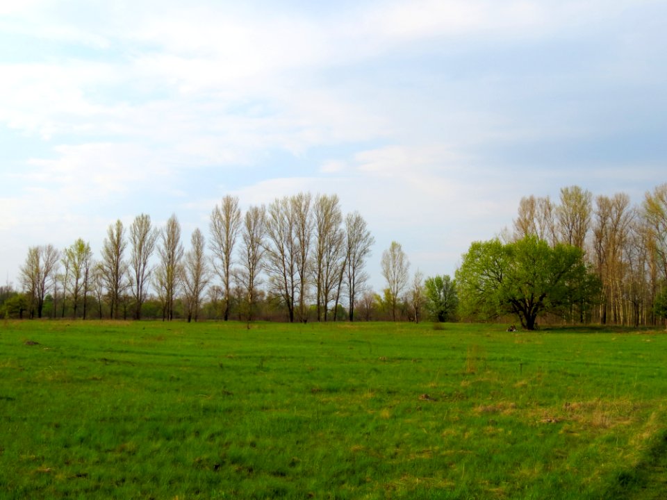 Bobrovnya zakaznyk4