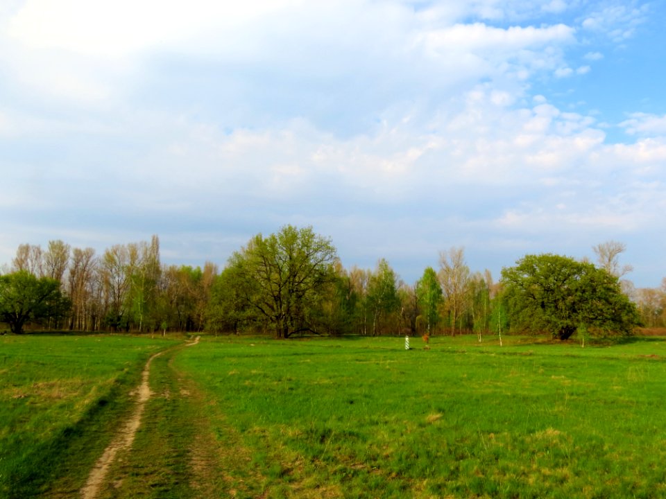 Bobrovnya zakaznyk3