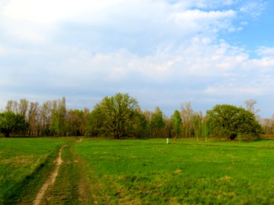 Bobrovnya zakaznyk3