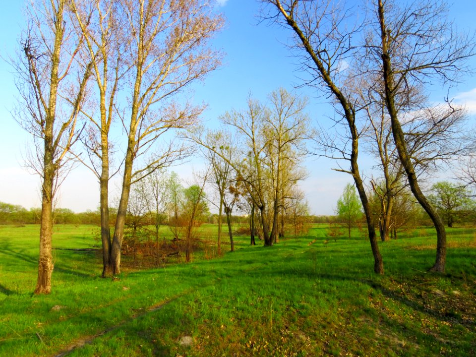 Bobrovnya zakaznyk6