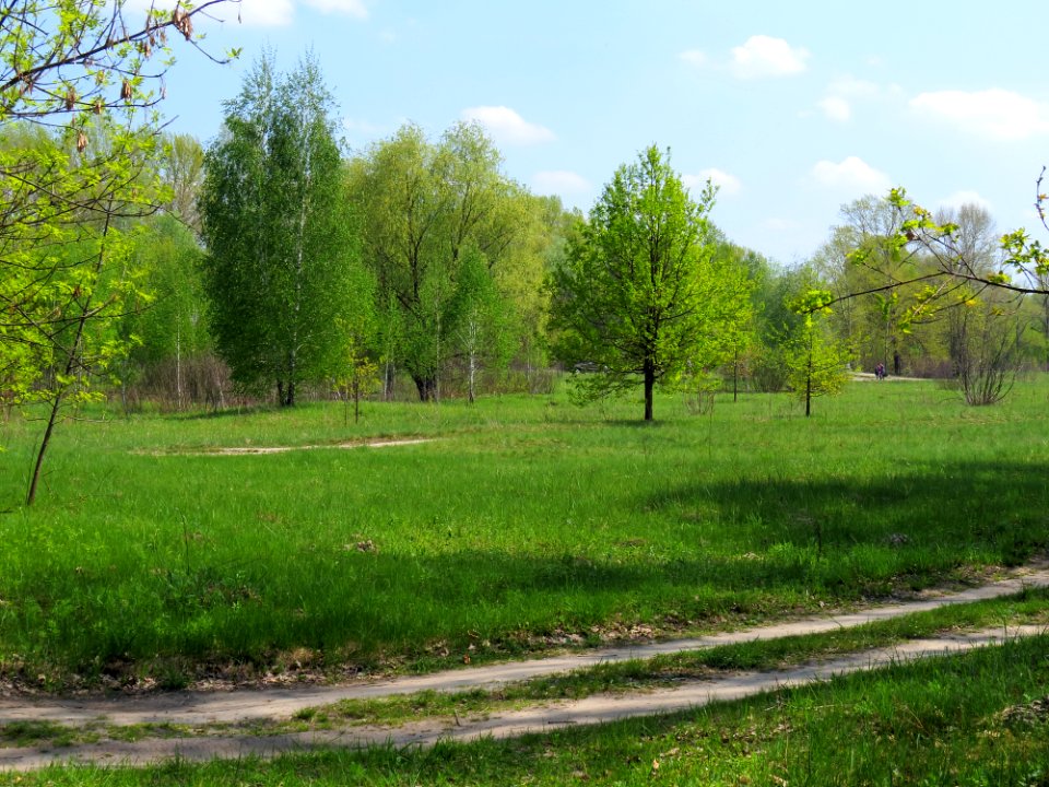 Bobrovnya zakaznyk8