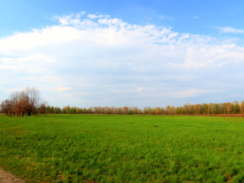Bobrovnya zakaznyk1