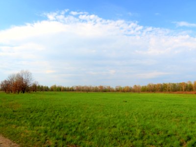 Bobrovnya zakaznyk1