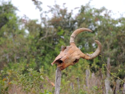 Brazil dry land backcountry