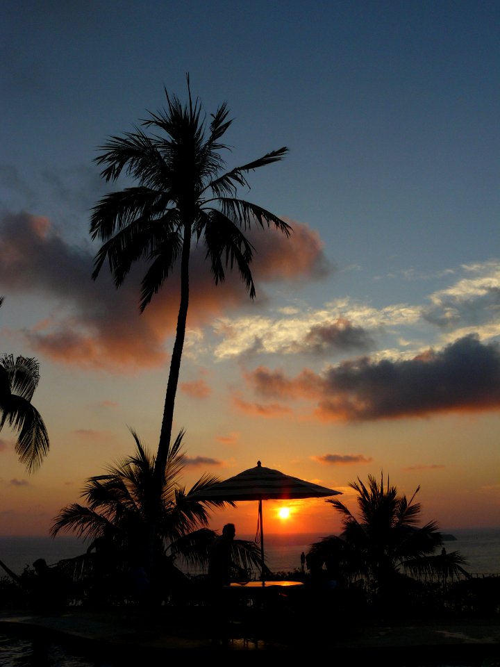 Atardecer con palmera y sombrilla